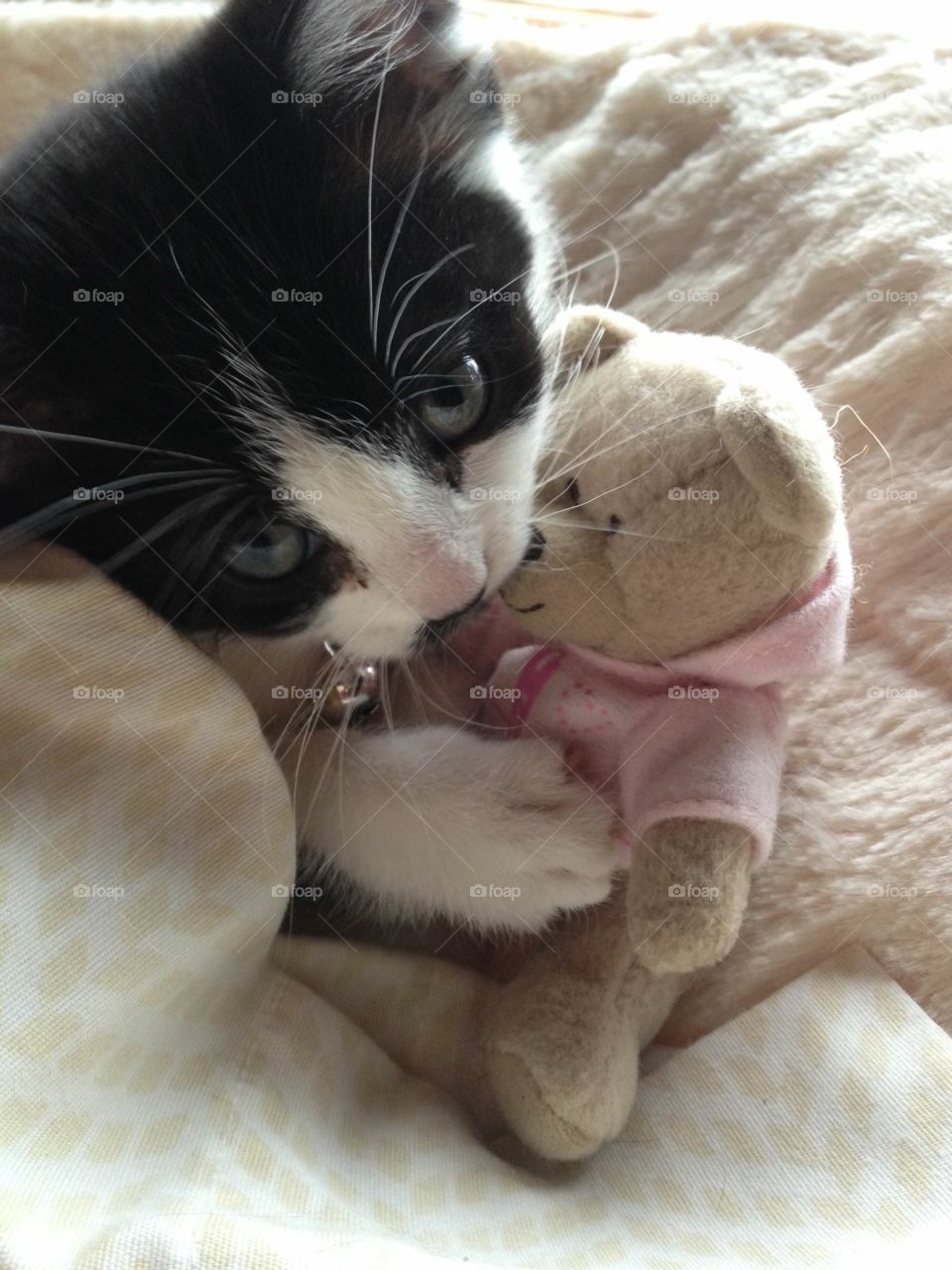 My baby Lily cuddling with her favorite stuffed animal