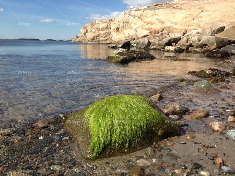 View of idyllic beach in sweden
