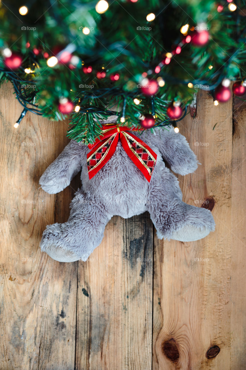 Teddy bear under the Christmas tree