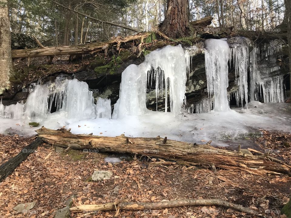 In the winter woods of Connecticut, icicles hanging off of the roots of a large tree and stone shelf melt in the sun.