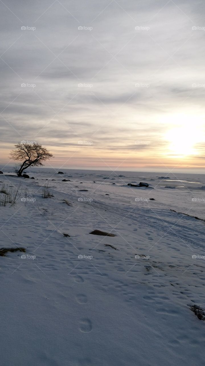 Baltic sea in winter