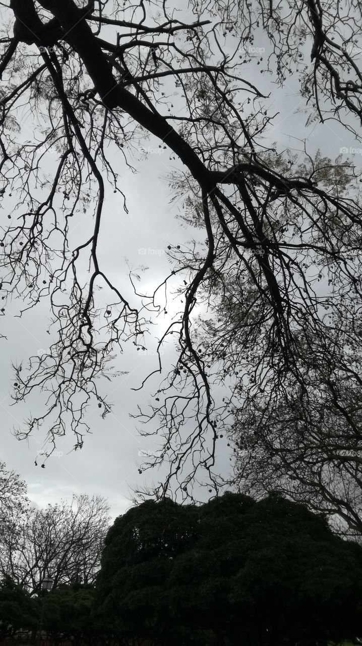 ready to rain again...