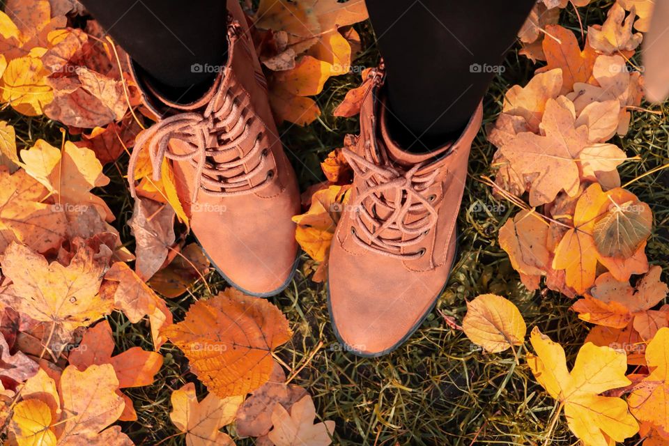 The legs of a young girl in black nylon tights and brown ankle boots with heels and lacing stand on a lawn with colorful autumn foliage, close-up view from above.