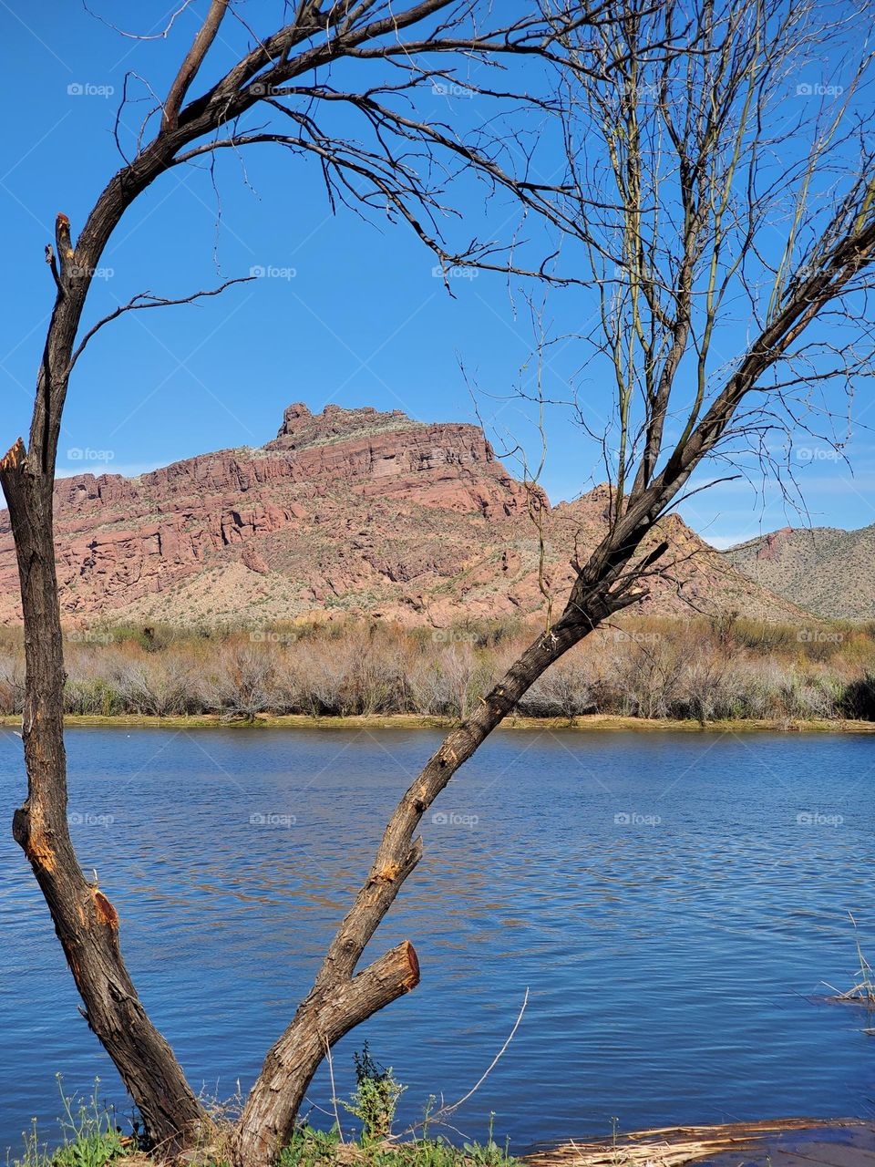 Red Mountain on the Salt River