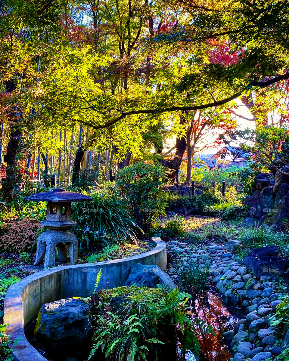 Fairytale garden scene. Imagine what creatures may come out to greet you! 