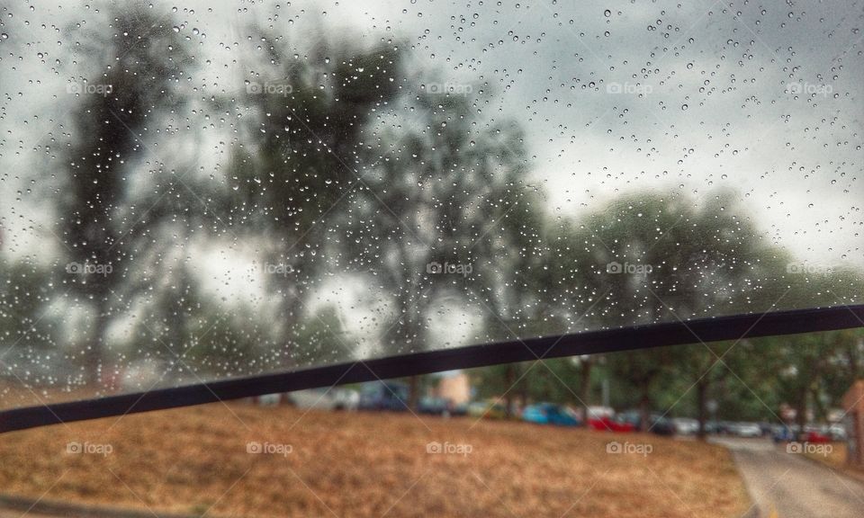 Rain. Rainy day