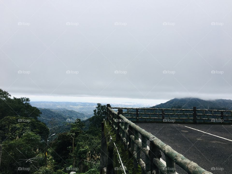 Inside Beipu Mountain located at Beipu Hinchu District, Taiwan, witnessing the thick virgin forest with the biggest trees along with it.