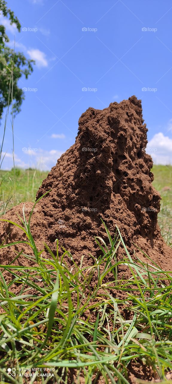 so please by my image