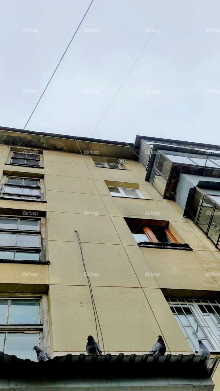 Welcome home, my neighbour 😆