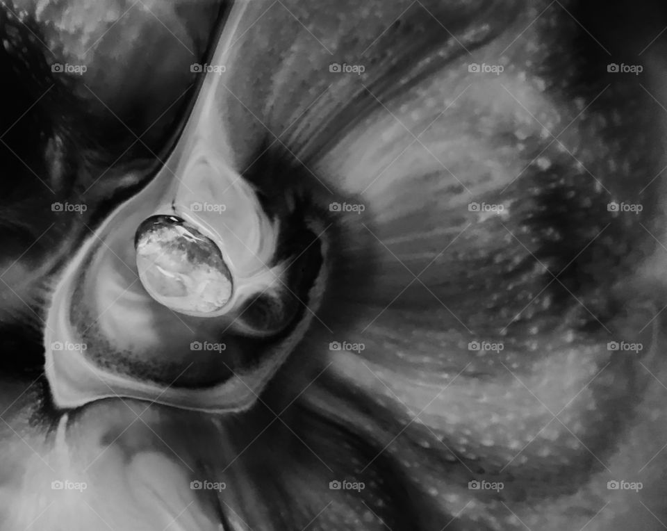 This black & white abstract is made with milk, glue, and small drops of food dye dispersed around the stone. Then drops of dish soap were added to create these moving dynamic shapes around this sparkly stone.