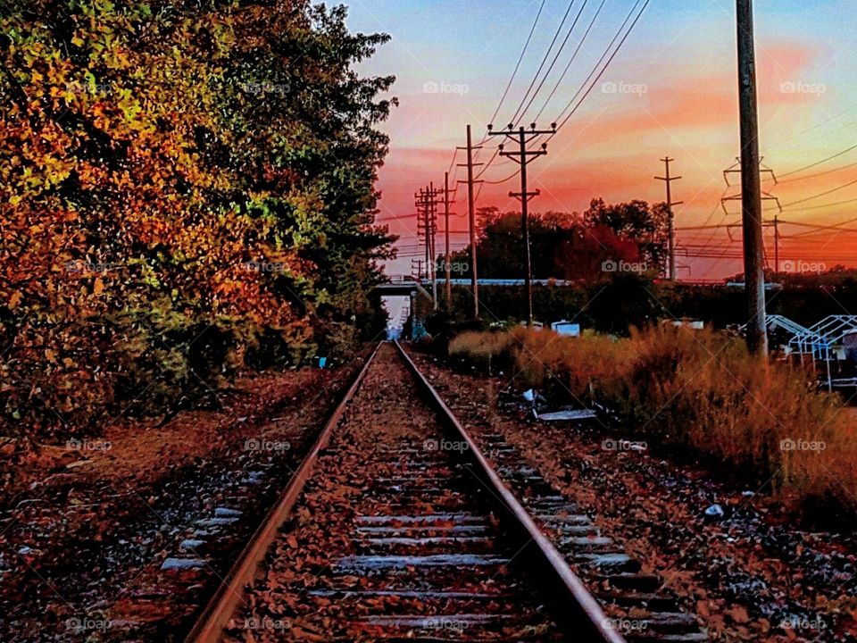 Railway, Railroad Track, Train, Locomotive, No Person