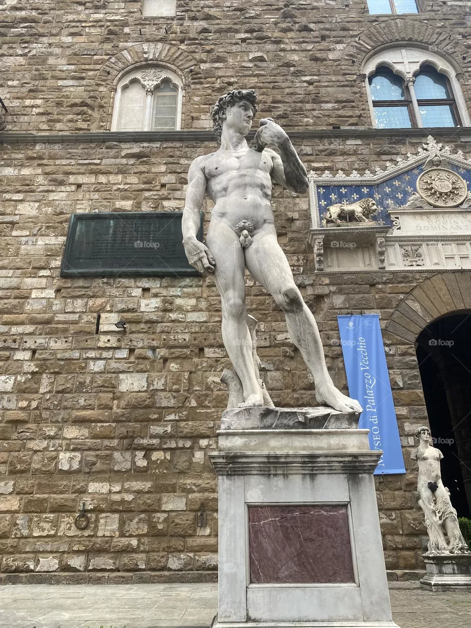 The David replica - Florence, Italy
