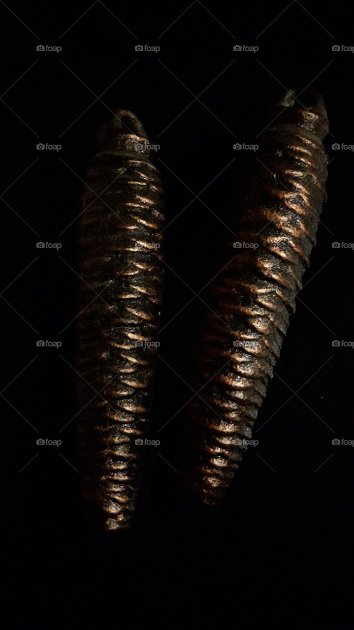 my cuckoo clock is broken