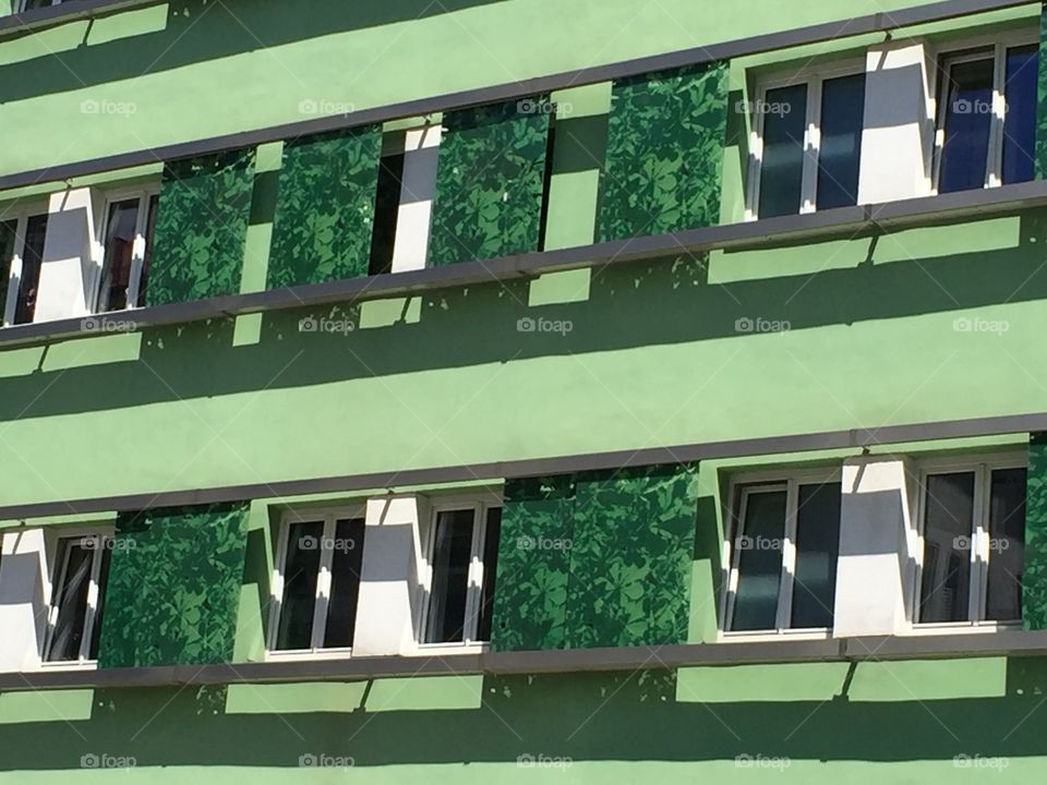 Green facade & windows