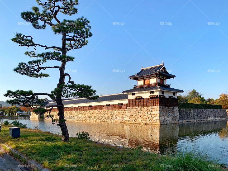 Tranquility at Hiroshima Castle