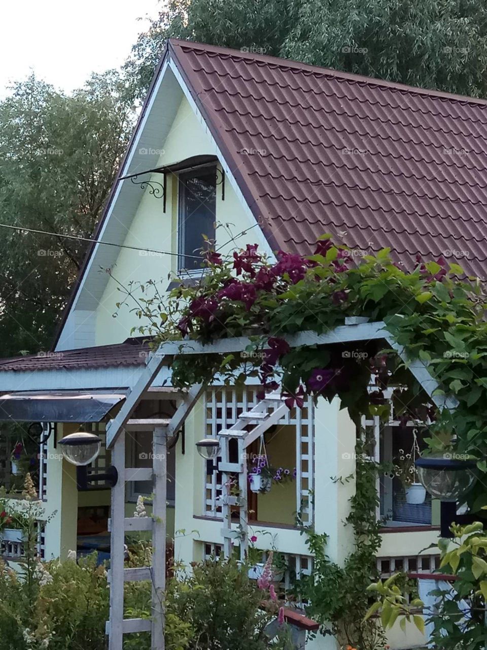 my blooming cottage in the Kiev region