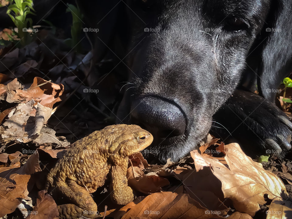 Unusual friendship 