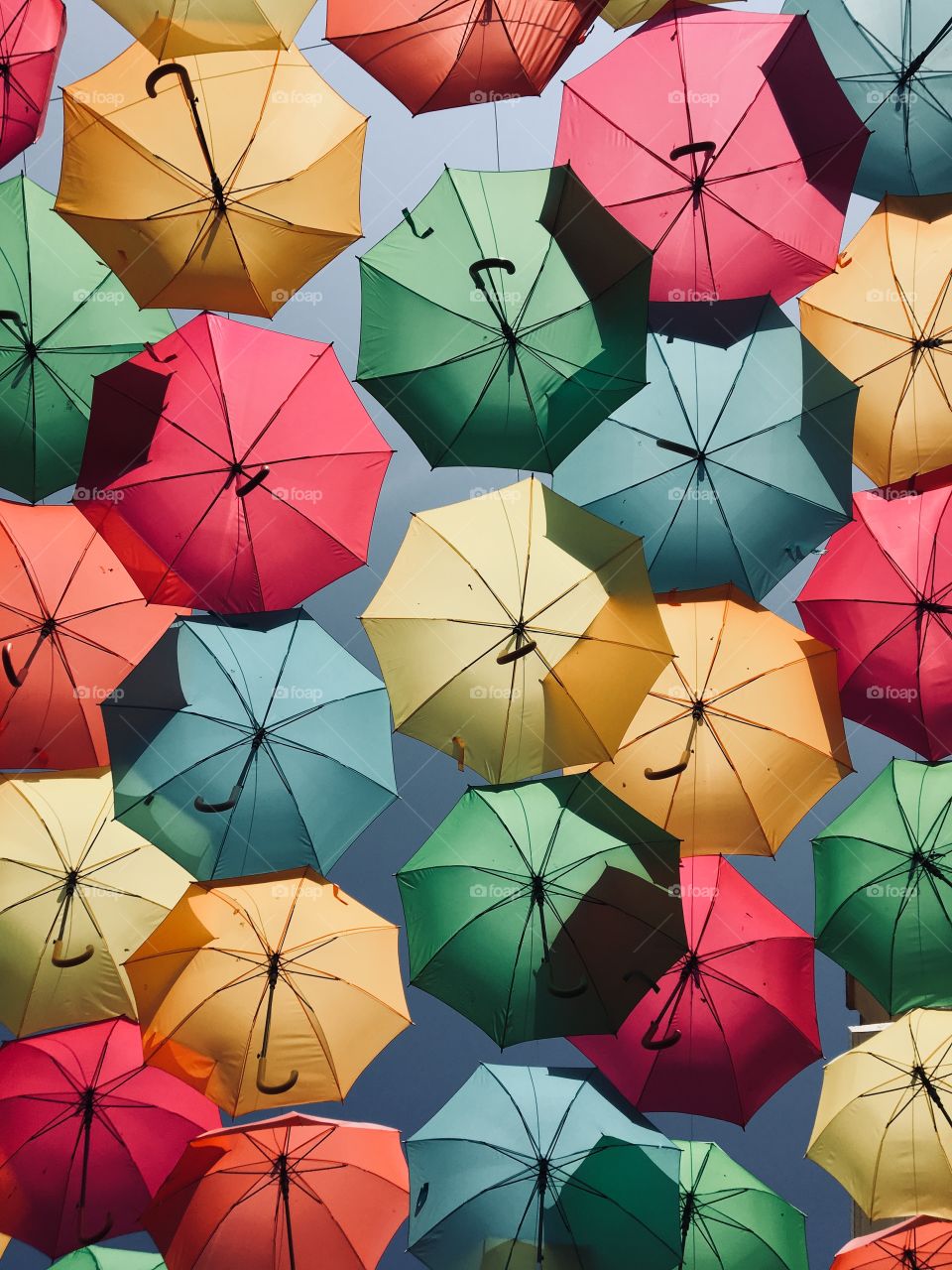 Colorful umbrellas 