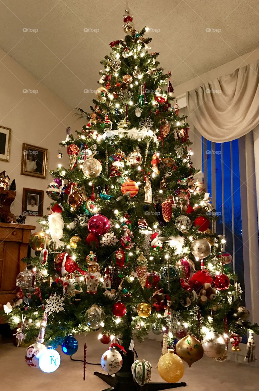 Christmas Tree, Christmas, tree, decoration, decorated, ornaments,ornament, old, antique, lights, light, winter, season, season's greetings, green, needles, room