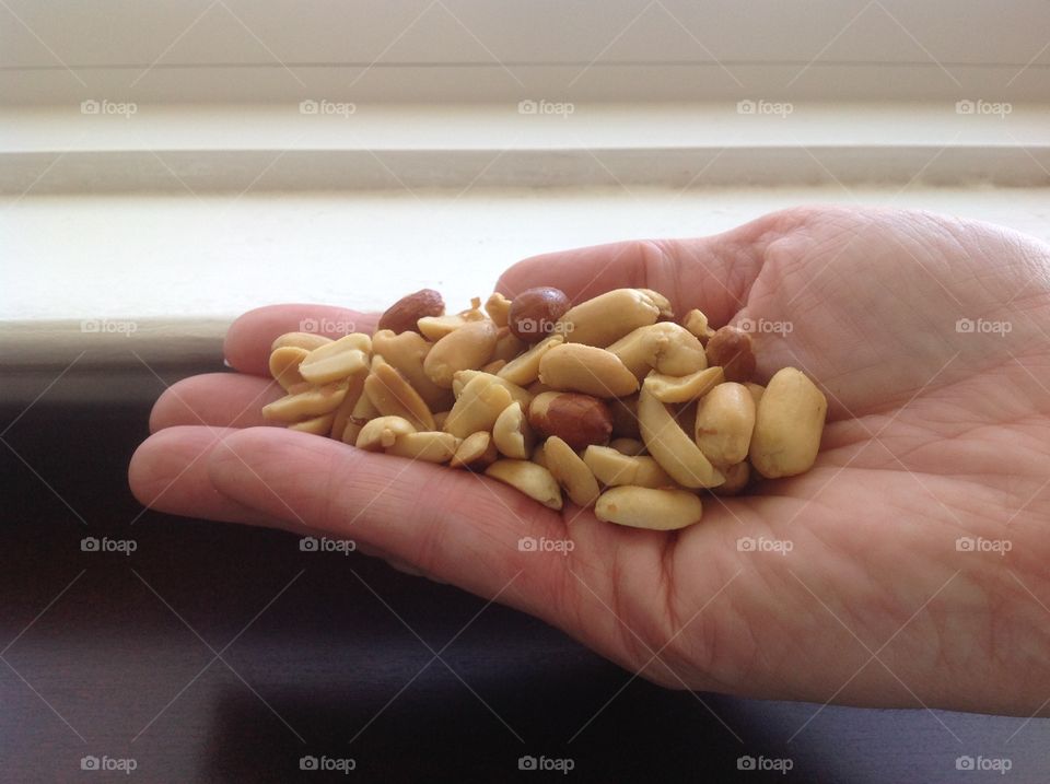 Holding a handful of peanuts.