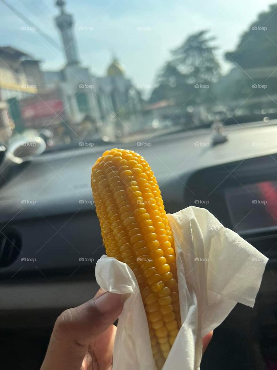 Corn