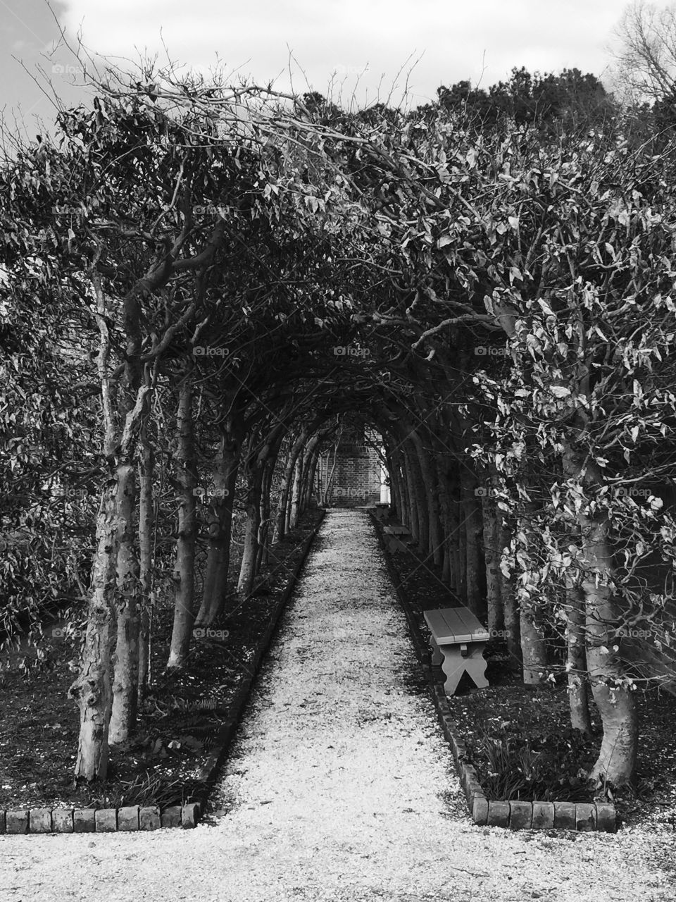 Fear. Passages in black & white are forbidding, mysterious, and ominous, so different in color...it's all how we see the world