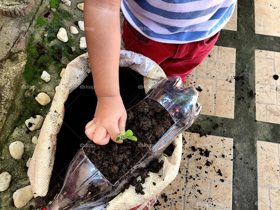 Close up gardening