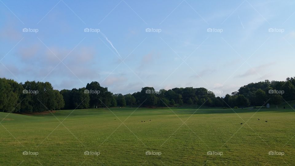 The Meadow of the Piedmond Park, atlanta, Georgia