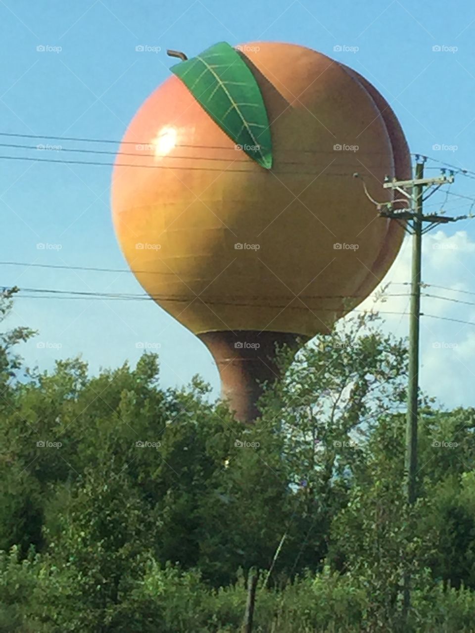 Big Peach  water tower in Virginia.