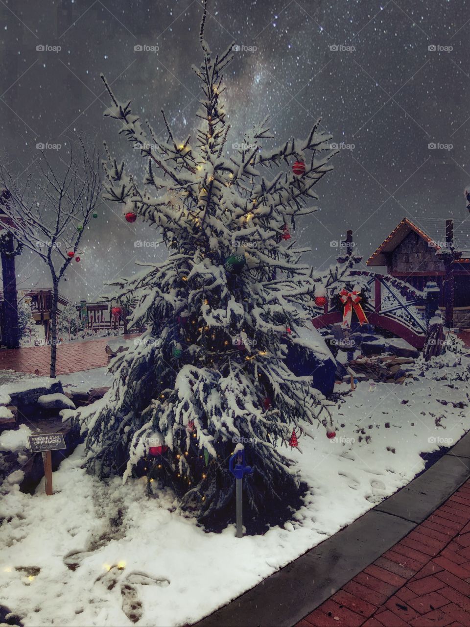 Christmas, Winter, Landscape 