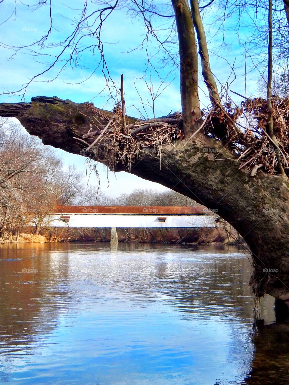 Covered bridge by the river. 