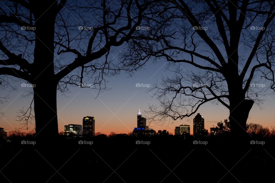 Raleigh, North Carolina is known as the City of Oaks. So, here is the cityscape view framed by two barren mighty oaks just before sunrise. 