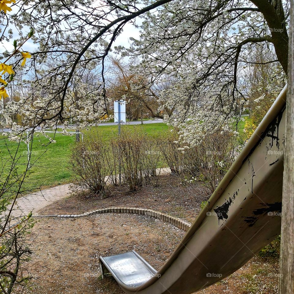 Neighborhood Park.