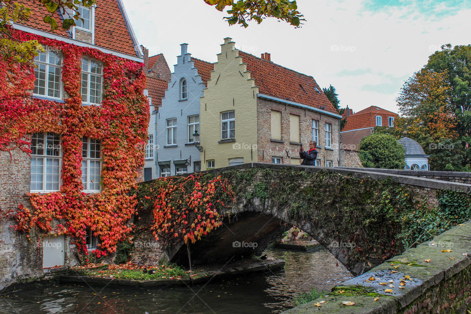 Autumn on the canals