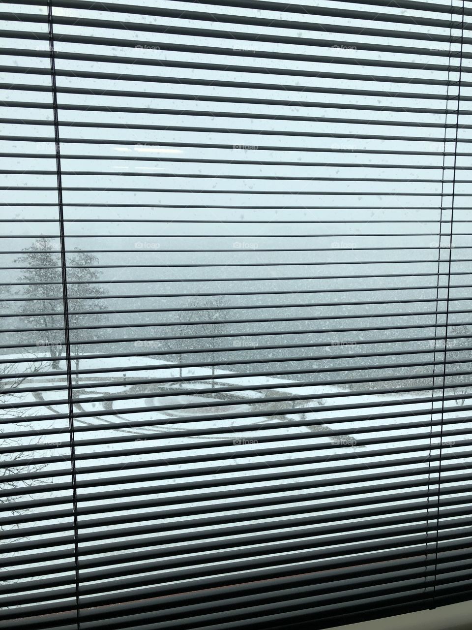 View from office. Snowfall at lake