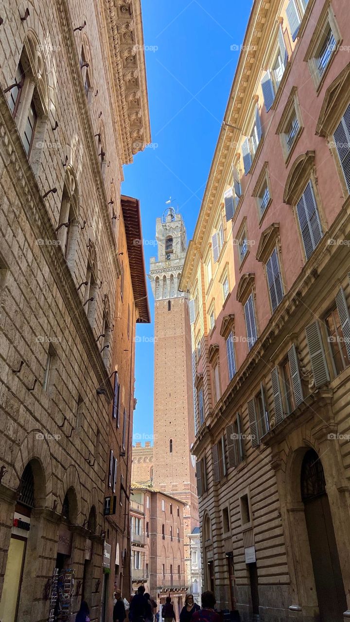 A matter of perspective 