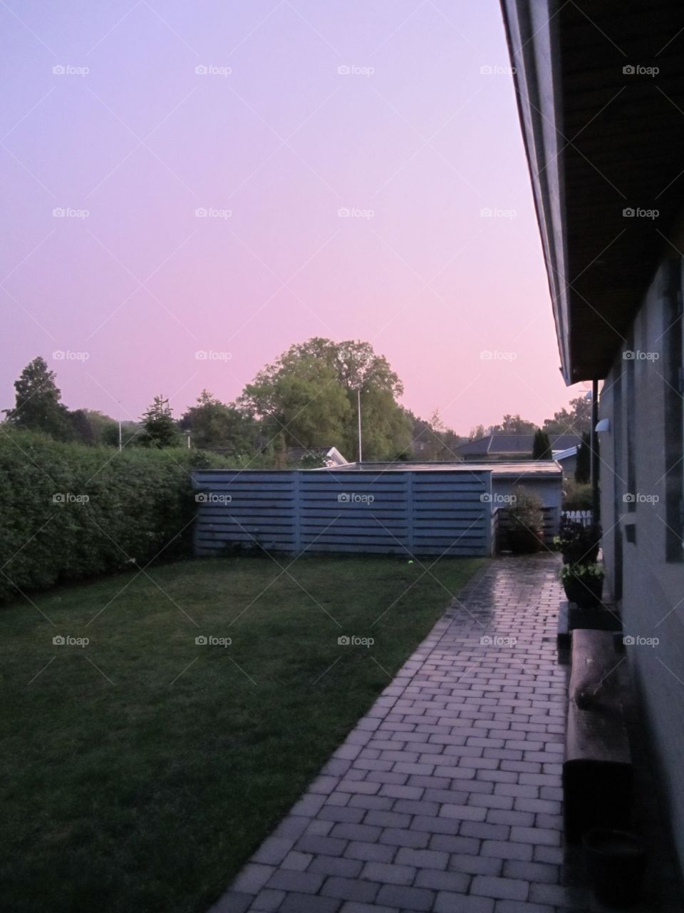 Pink sky 