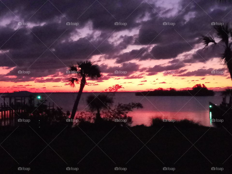 a vivid tropical sunrise with palm trees and an ocean view.