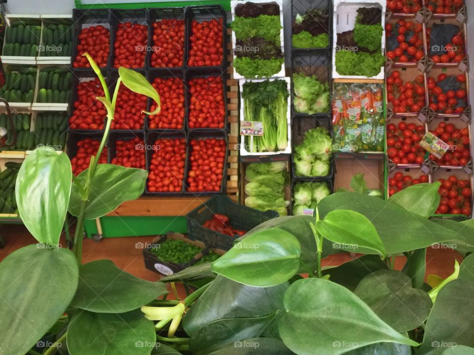 High angle view of vegetables