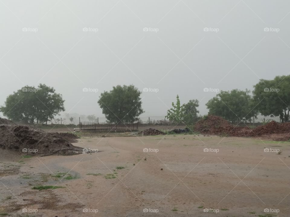 outside nature with rain.