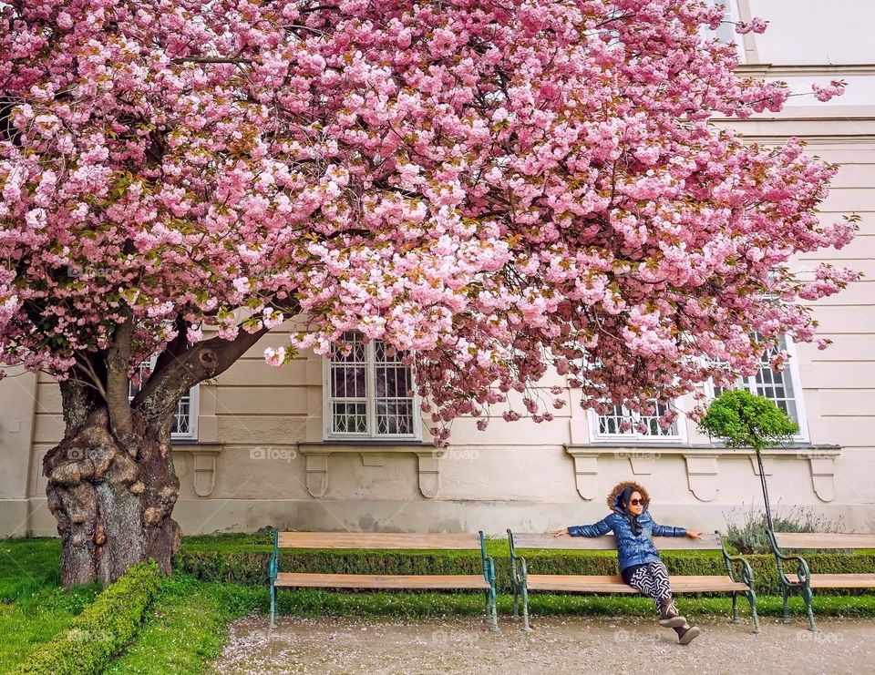 Chilling under cherry tree 