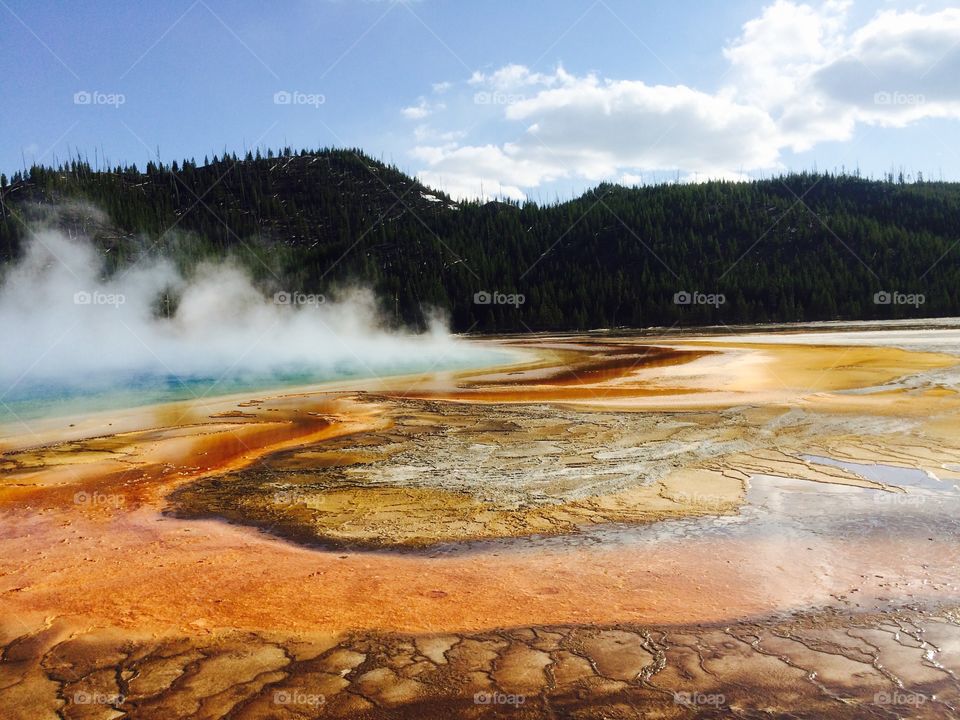 Yellowstone. Geysers 