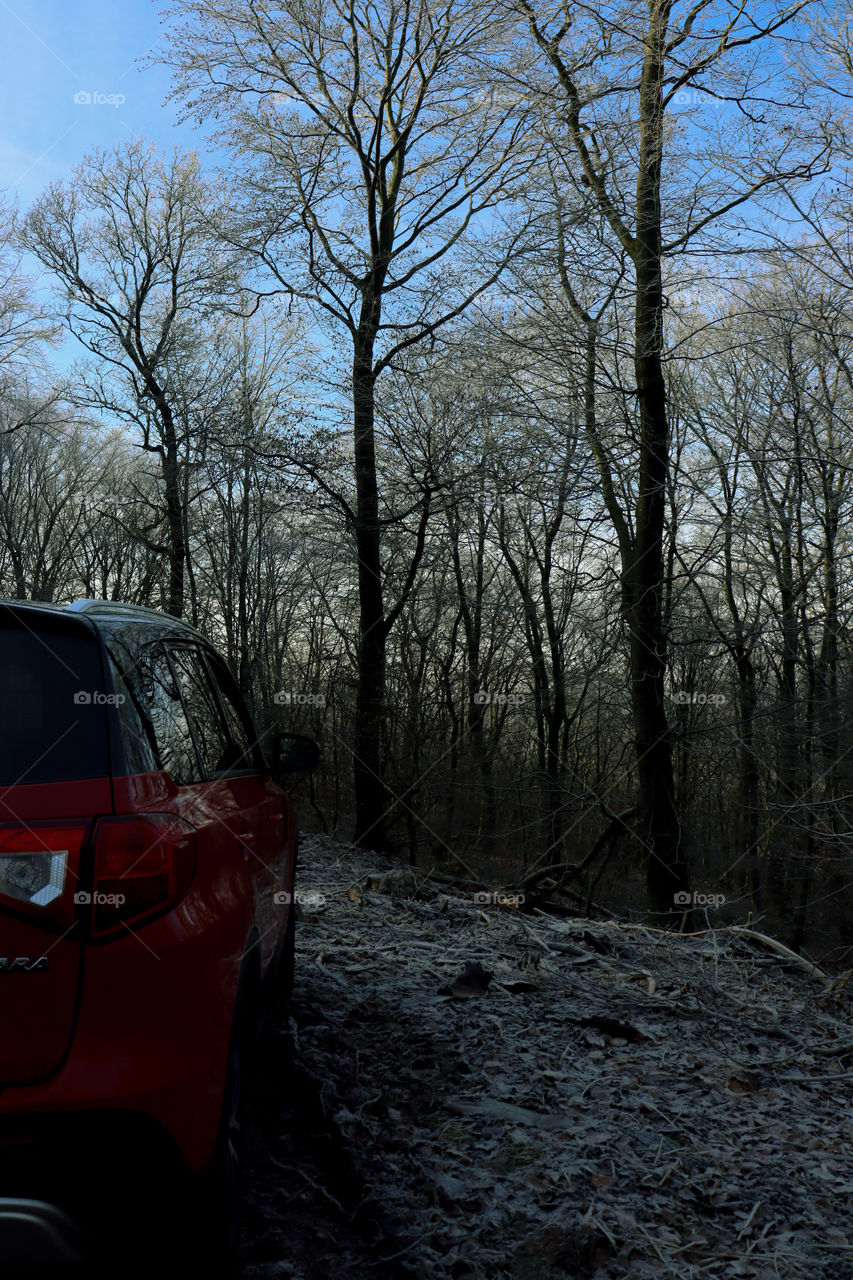 A red car in front of a snowy forest
