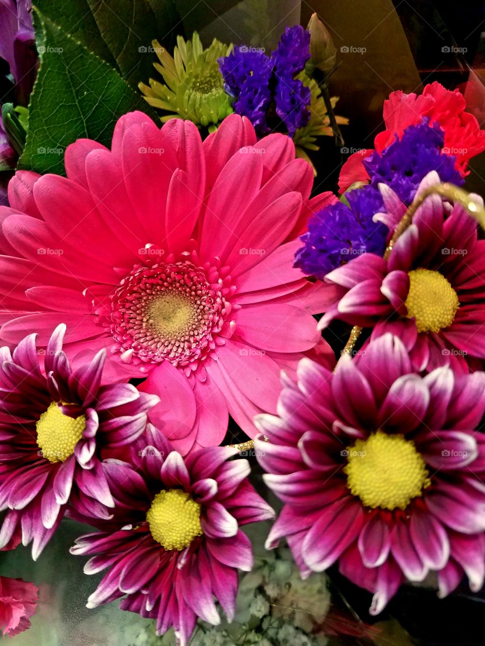 A close up of colorful pink and purple flowers against a dark green background