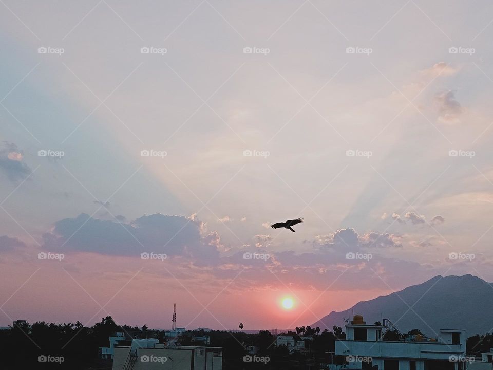 ravarma vanguvo  Returning home, Fantastic evening, Amazing sunset