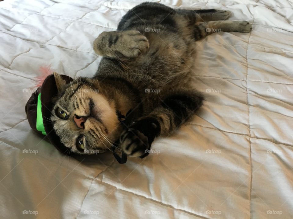 Feeling playful while stretching out on the bed in the shade from a warm afternoon. 