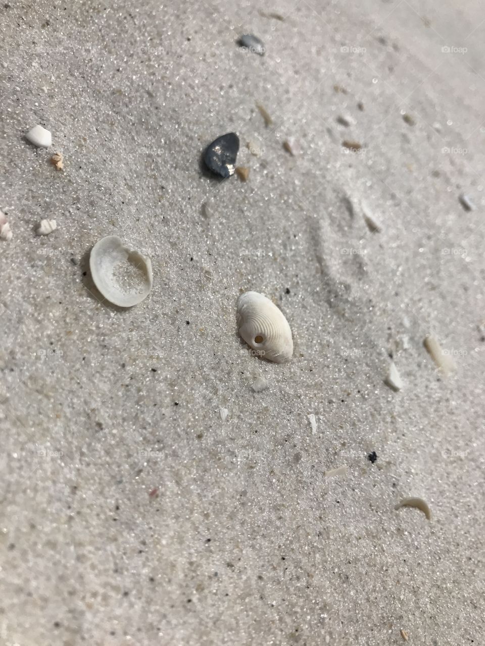 Sand and seashells