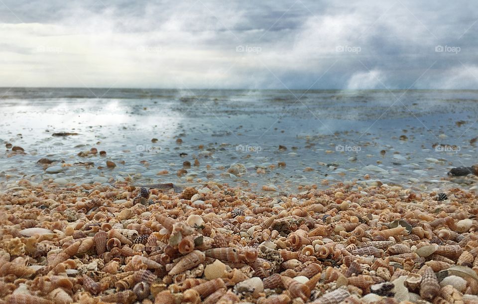 Awesome beach, remote and filled with seashells south Australia
