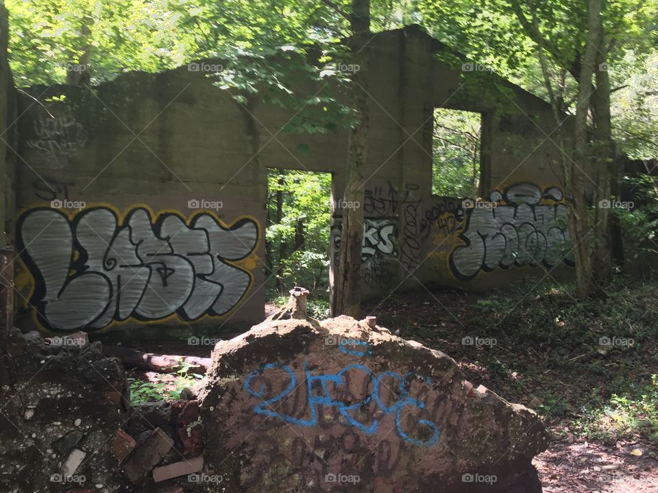 Nature, Wood, Stone, Environment, Leaf