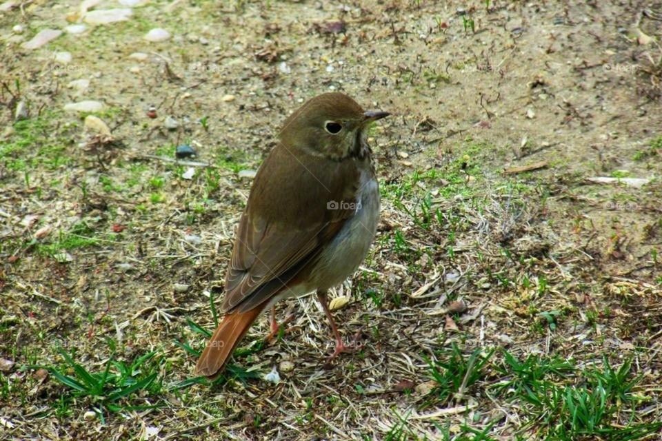 Spread Your Wings and Fly!